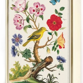 Cavallini Papers Floreale Boxed Notecards