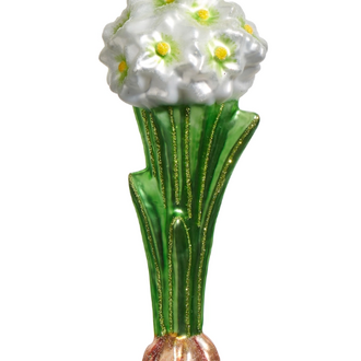 Paperwhite Bulb Orn