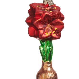 Red Amaryllis Bulb Orn