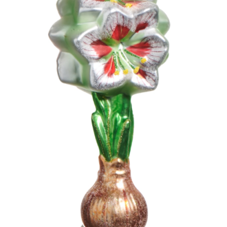 White Red Amaryllis Bulb Orn