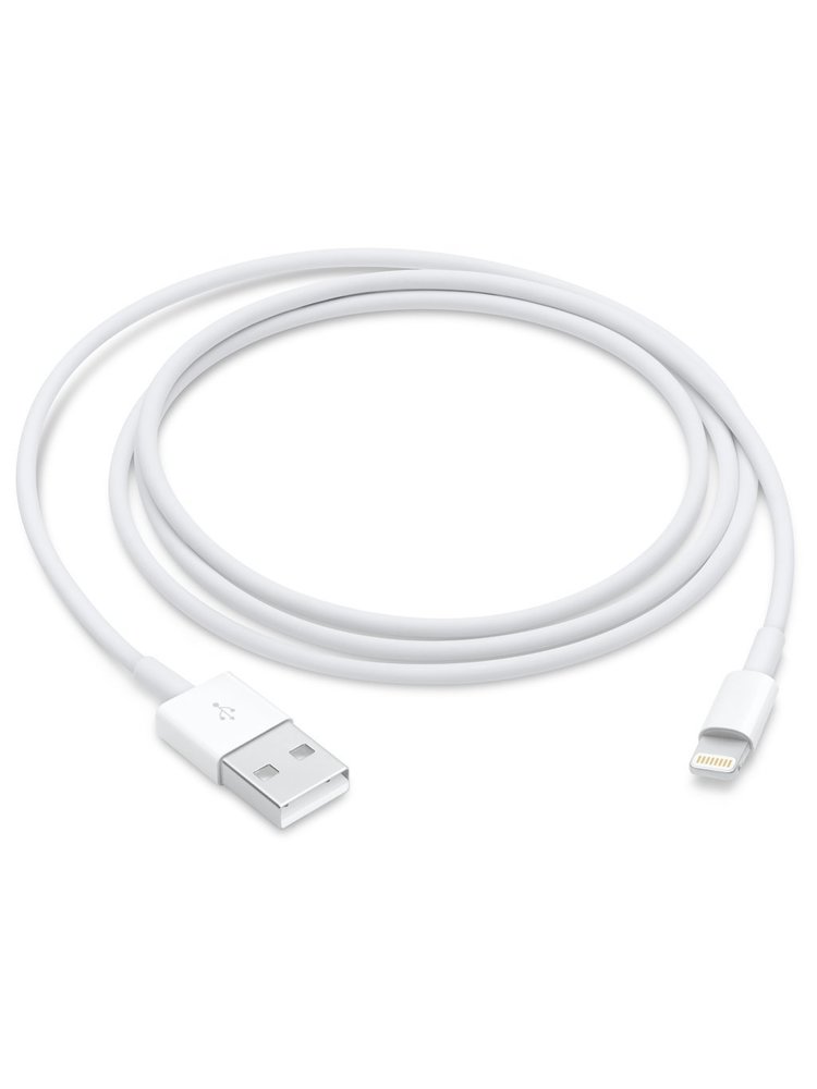 Apple Apple Lightning to USB Cable (1m)