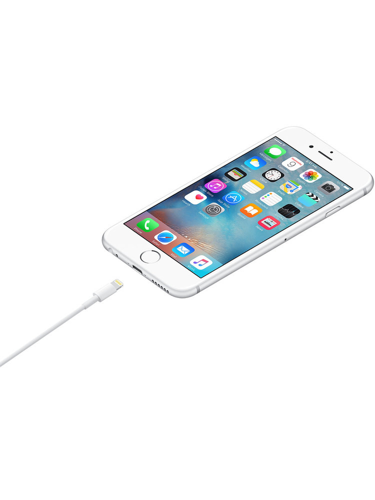 Apple Apple Lightning to USB Cable (1m)