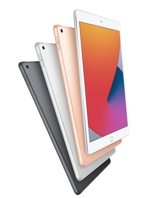 Apple Apple 10.2-inch iPad (8th Gen)