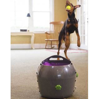 PETSAFE - All Automatic Ball Launcher