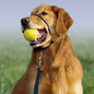 PETSAFE - All PETSAFE Gentle Leader Head Dog Collar Black