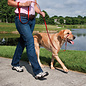 PETSAFE - All PETSAFE Gentle Leader Head Dog Collar Black