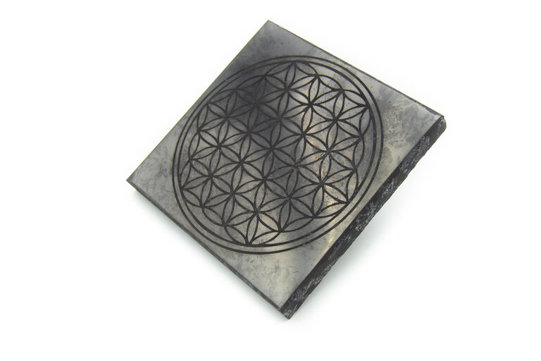 Shungite - Plaque fleur de vie
