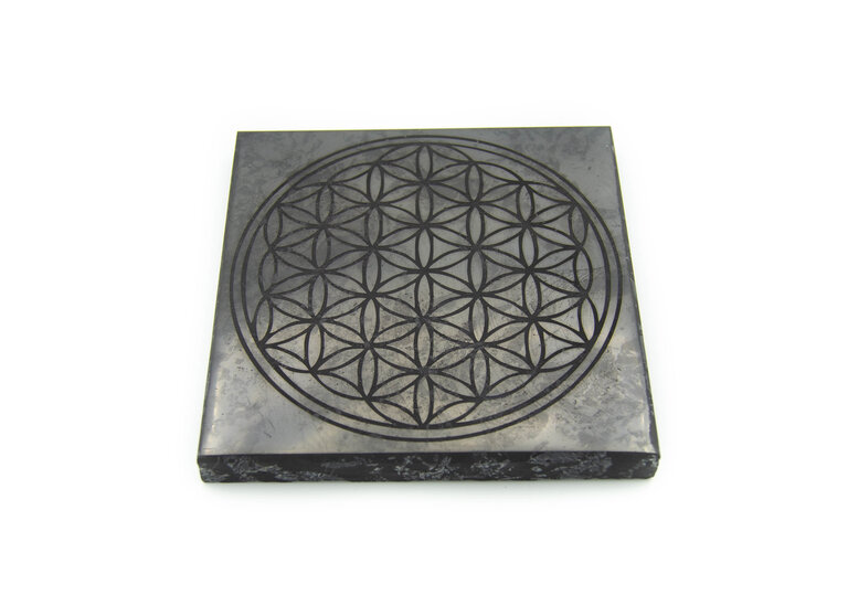 Shungite - Plaque fleur de vie