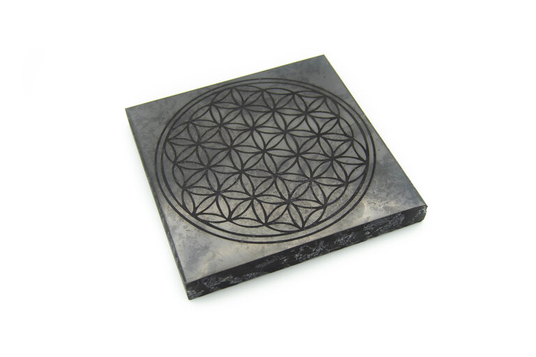 Shungite - Plaque fleur de vie