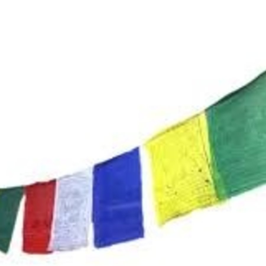 Tibetan Flag