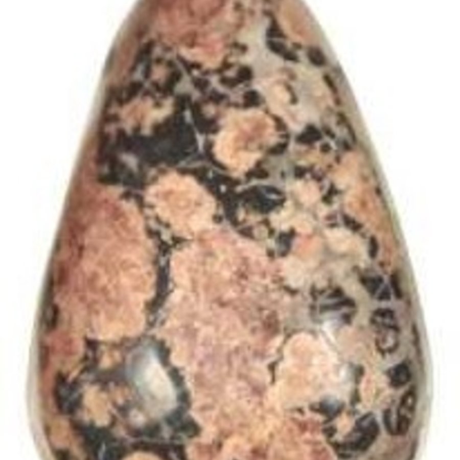 Leopardskin Jasper