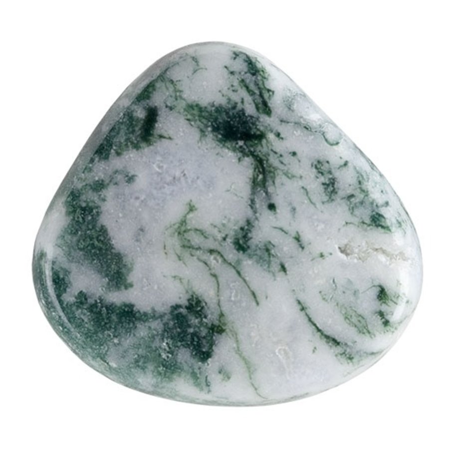 Tree Agate