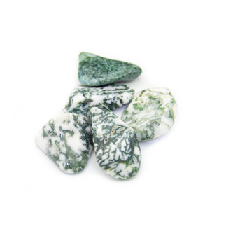 Agate Arbre Agate Arbre