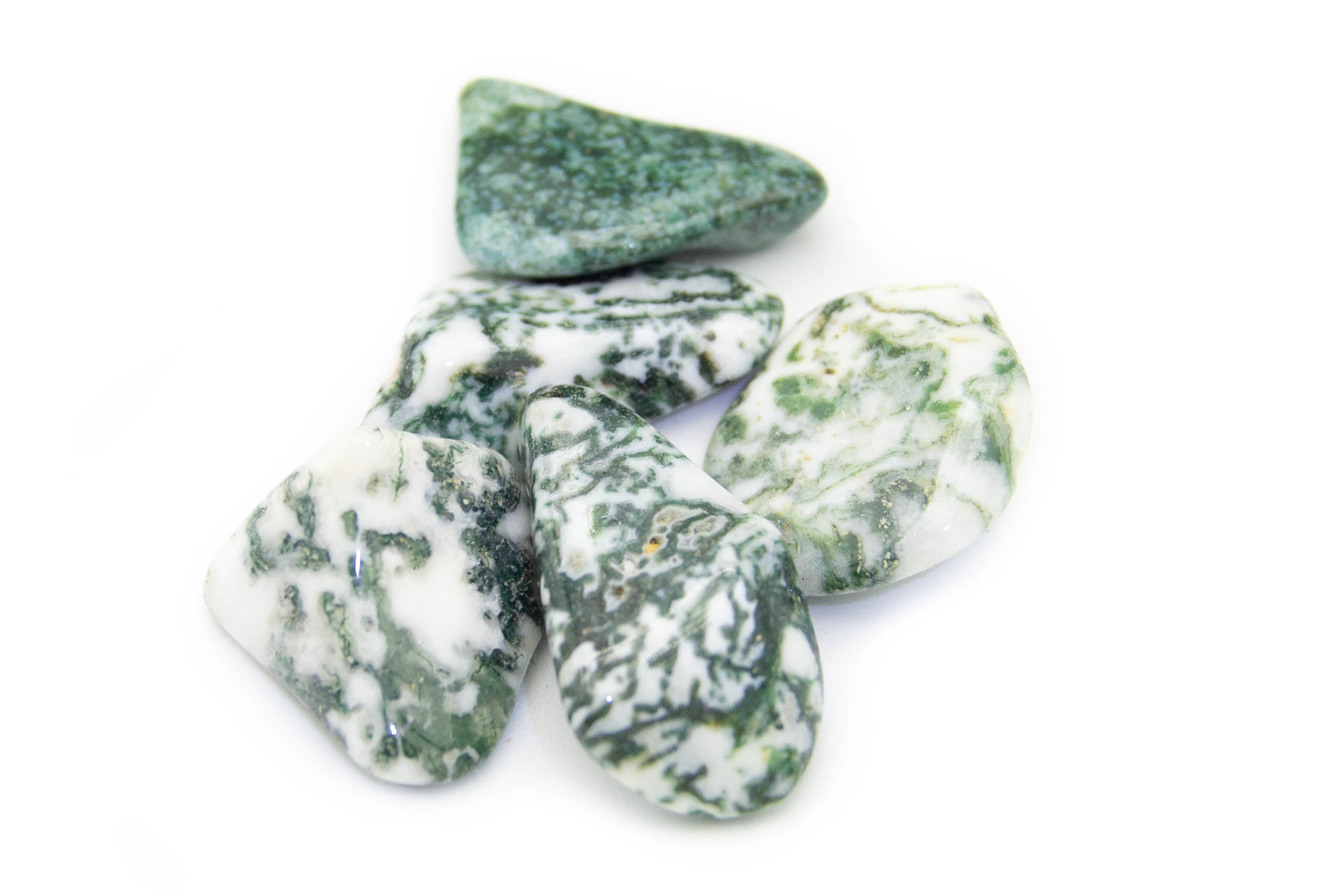 Tree agate