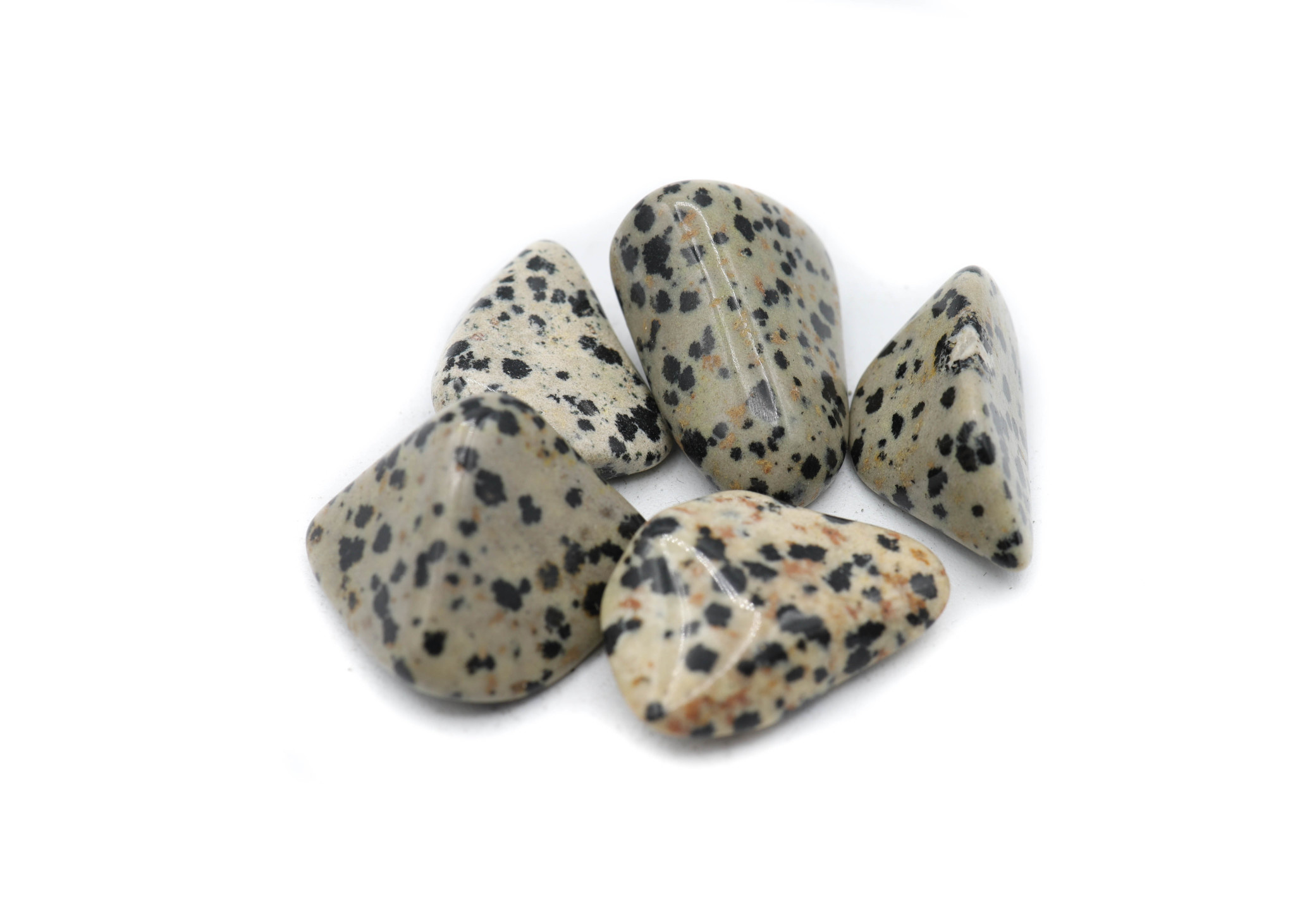 Dalmatian Jasper