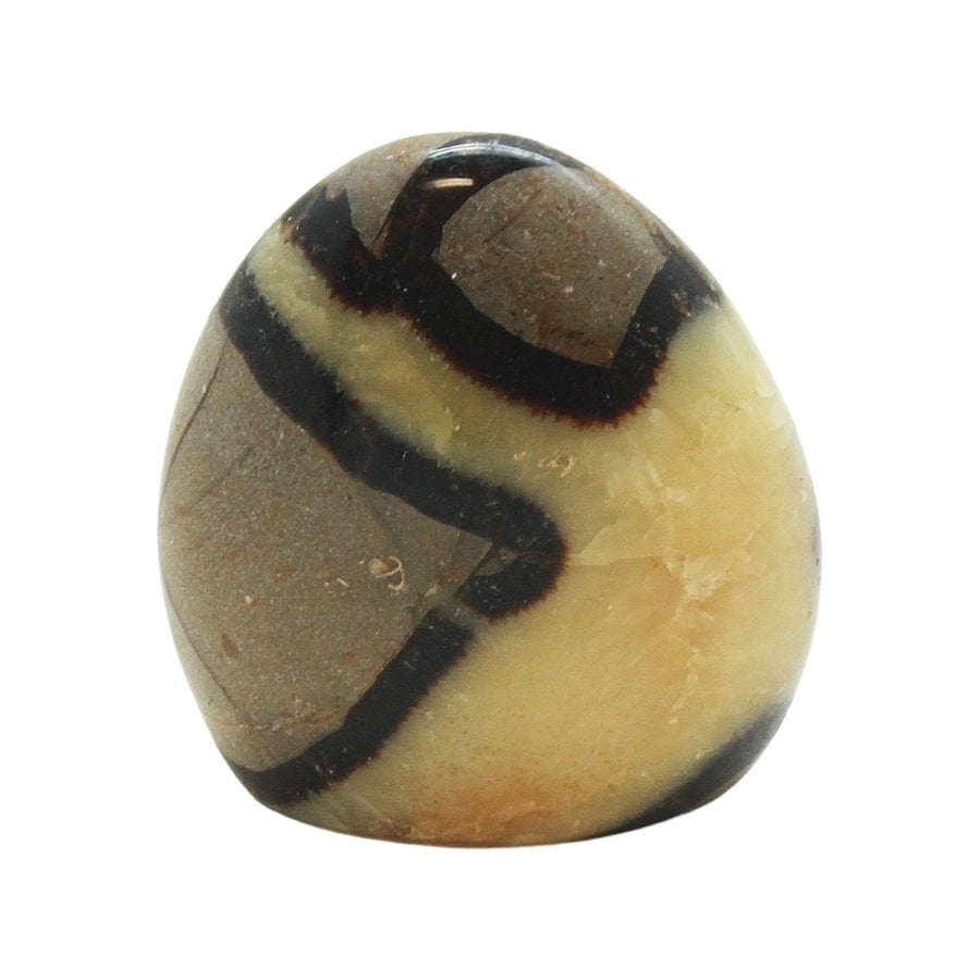 Septarian