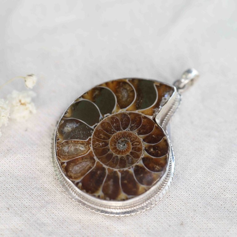 Ammonite Pendant - Spirale