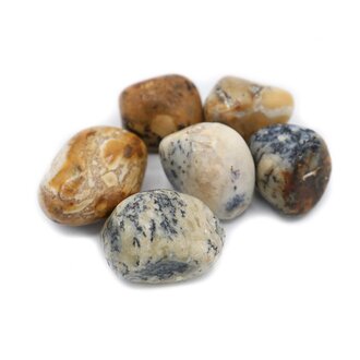 Dendritic Agate Dendritic Agate