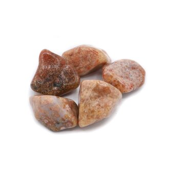 Flower Agate Flower Agate