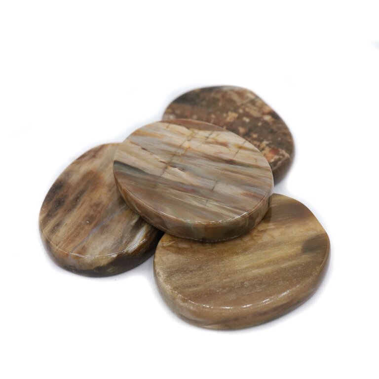 Petrified Wood - Palmstone