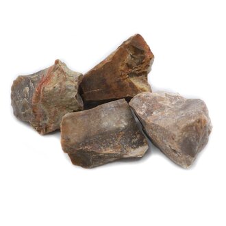 Petrified Wood - Rough