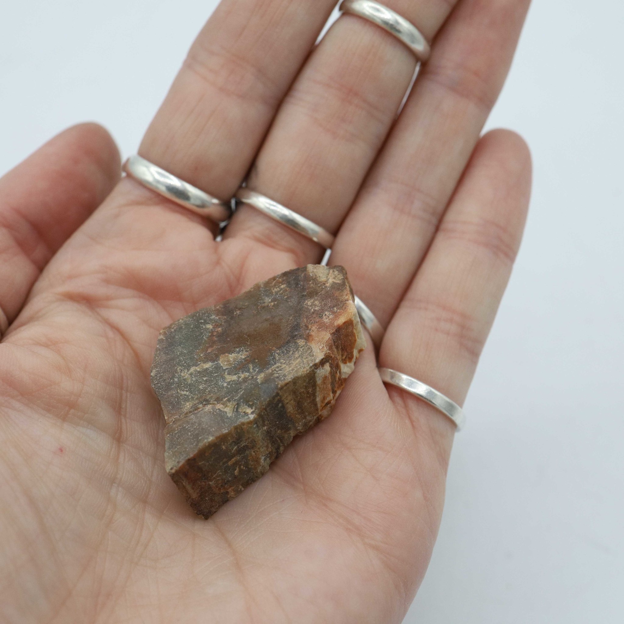 Petrified Wood - Rough