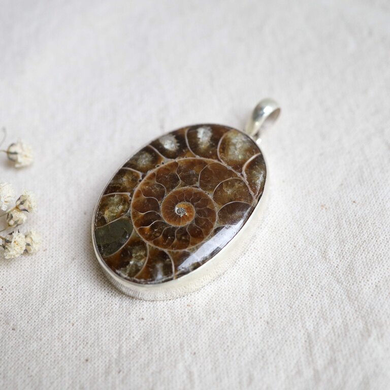 Ammonite Pendant - Prospérité