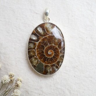 Ammonite Pendant - Prospérité Ammonite Pendant - Prospérité