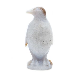 Agate Pingouin Agate Pingouin