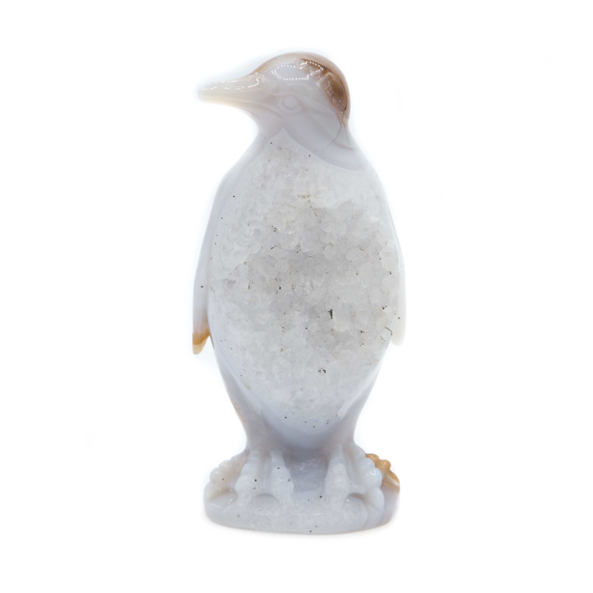 Agate - Penguin