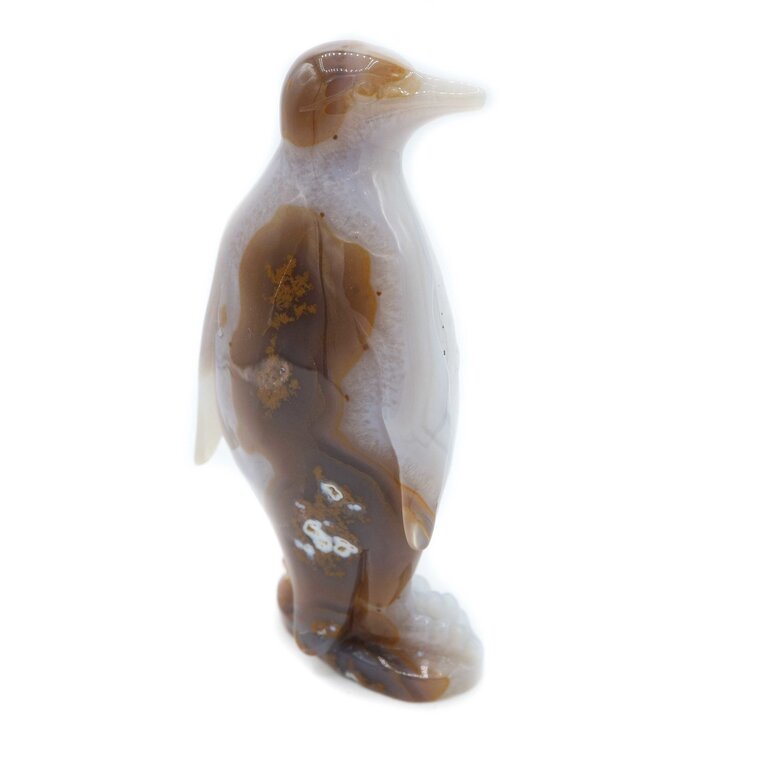 Agate - Penguin