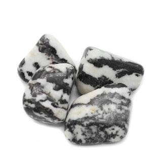 Zebra Agate Zebra Agate