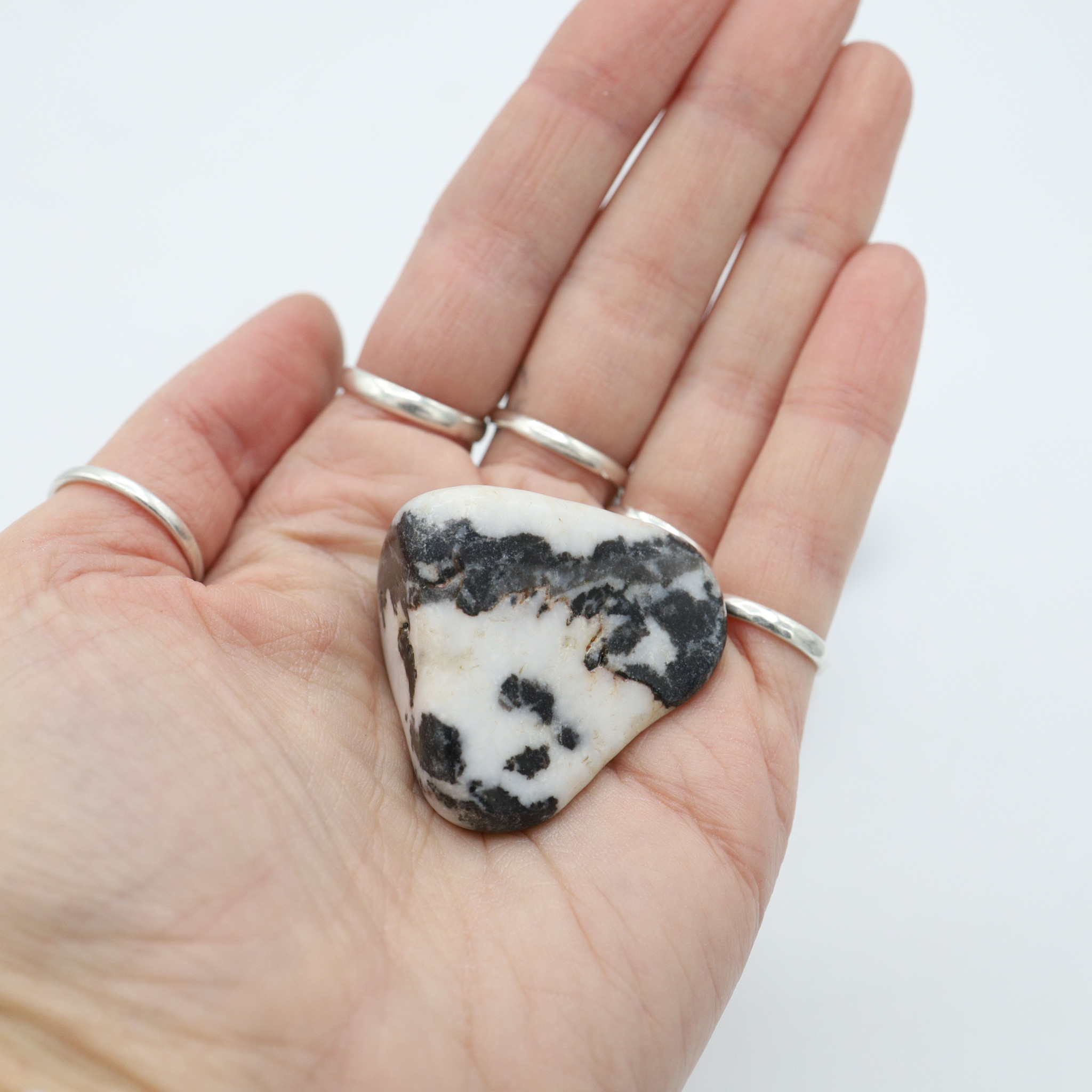 Agate zèbre