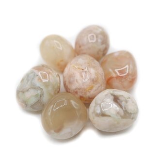 Flower Agate - Grade A Flower Agate - Grade A