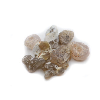 Snakeskin agate Snakeskin agate