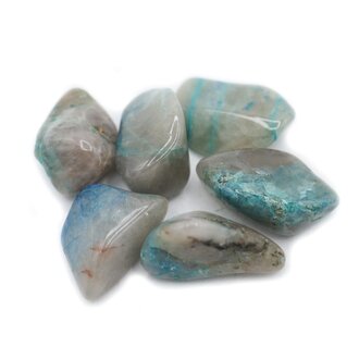 Quantum Quattro Quantum Quattro