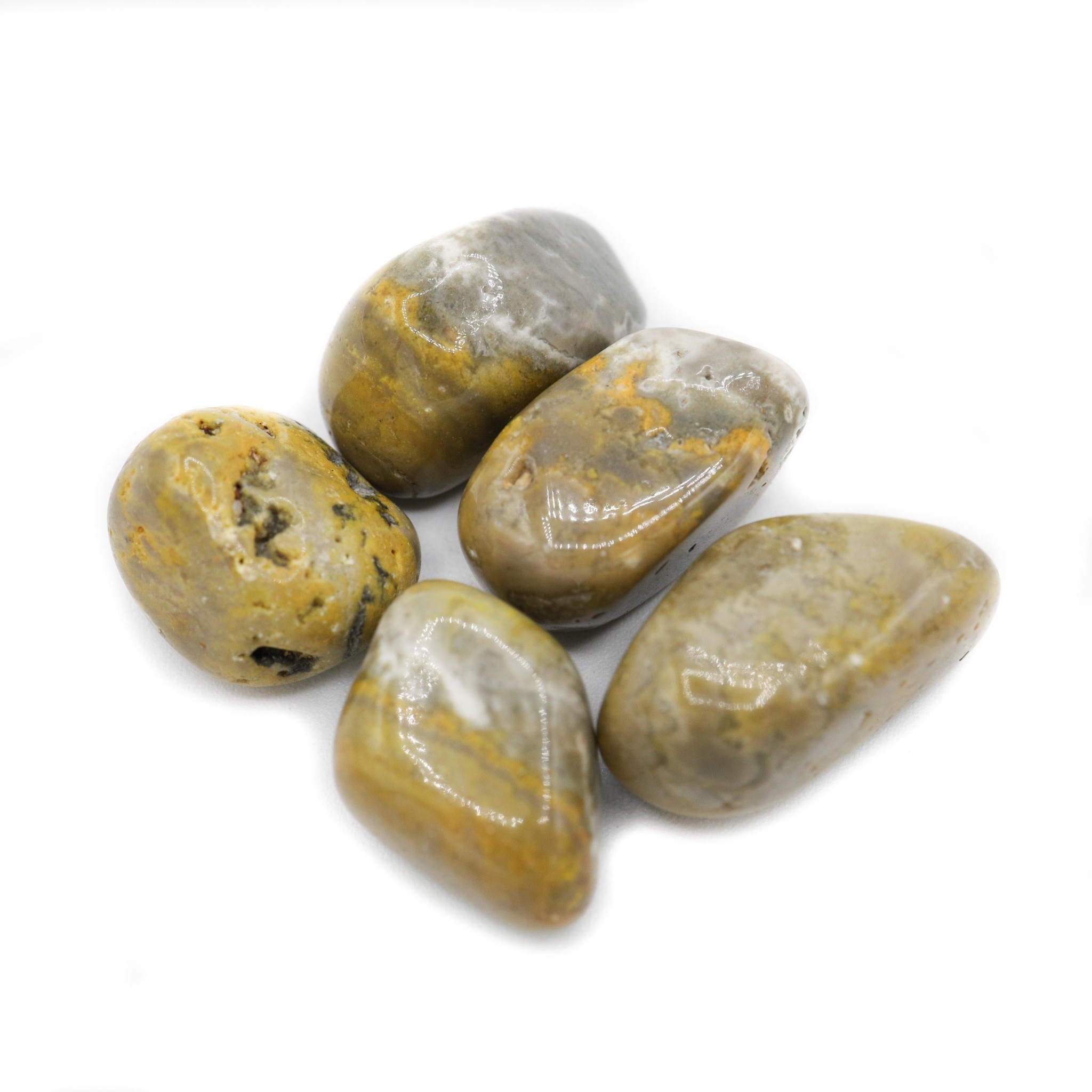 Bumblebee Jasper