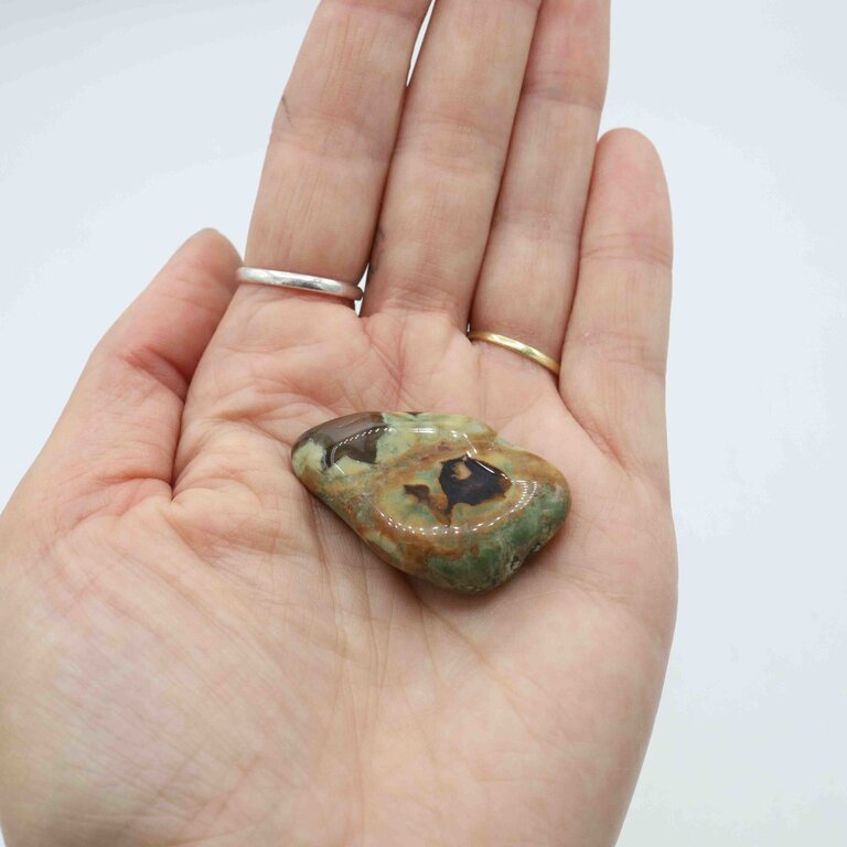 Rainforest Jasper