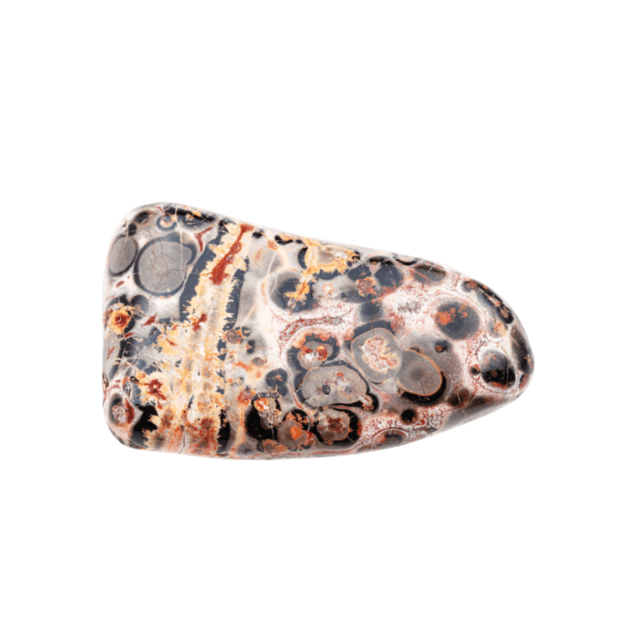 Leopardskin Jasper