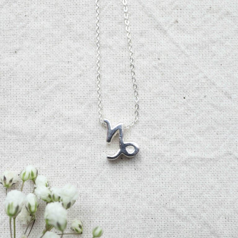 Necklace - Zodiac signs