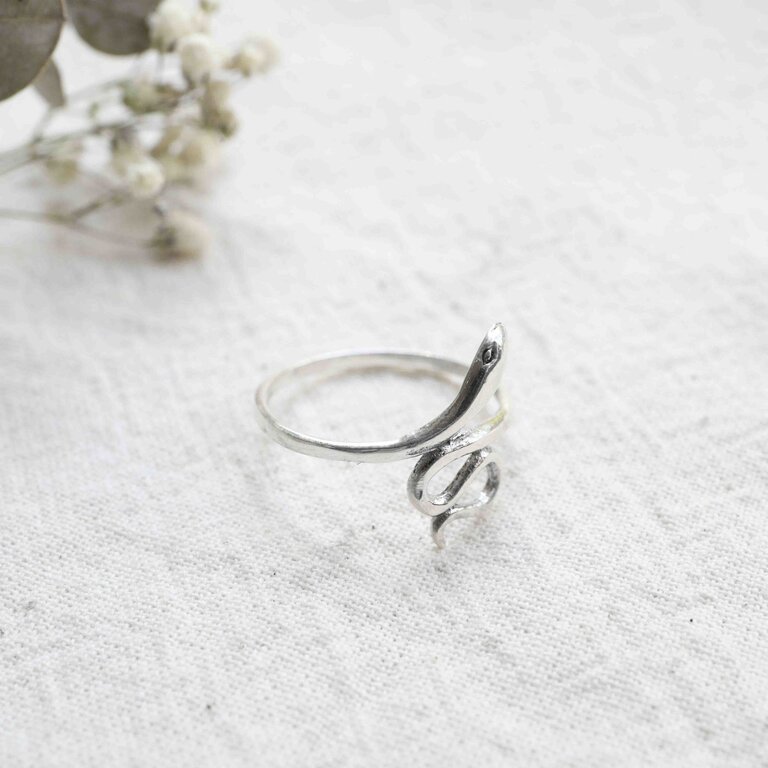 Silver ring - Couleuvre