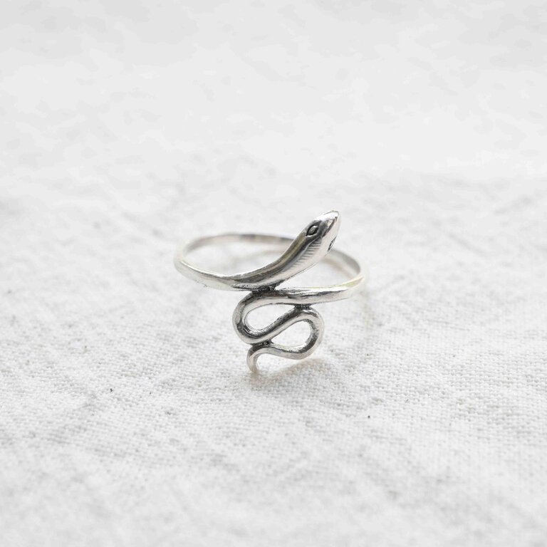 Silver ring - Couleuvre