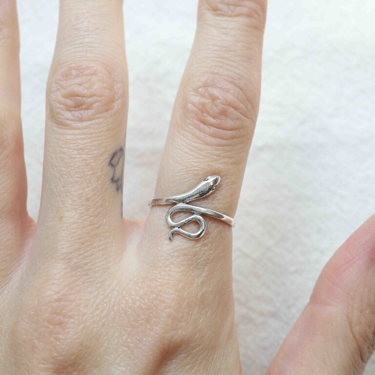 Silver ring - Couleuvre