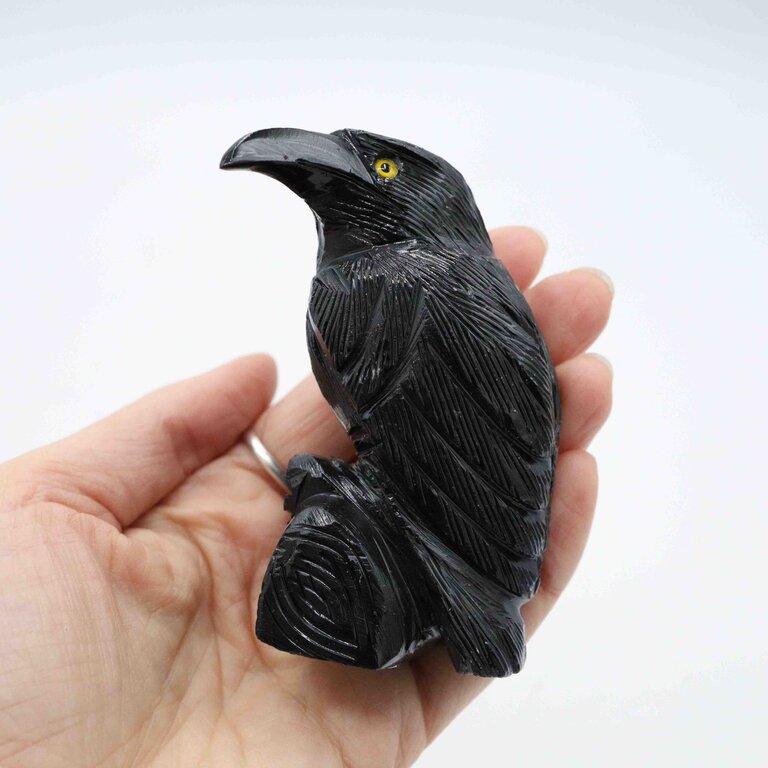 Onyx Corbeau