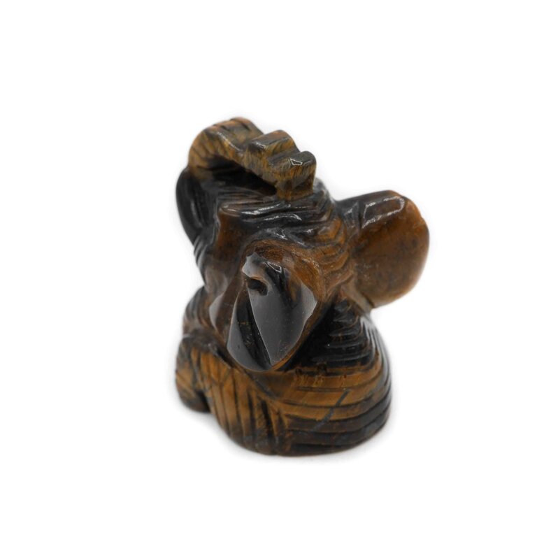 Tiger eye - Elephant