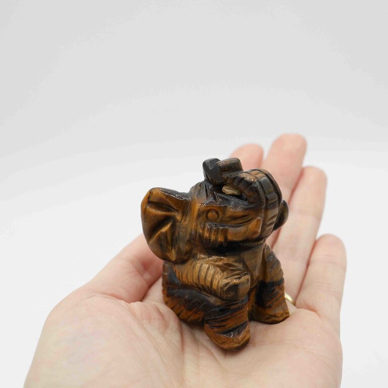 Tiger eye - Elephant