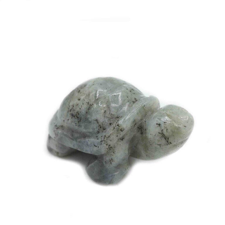 Labradorite Turtle