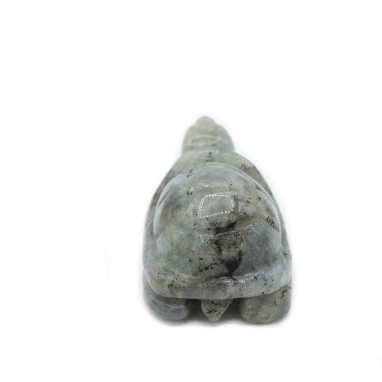 Labradorite Turtle
