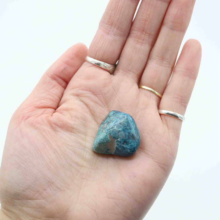 Chrysocolle