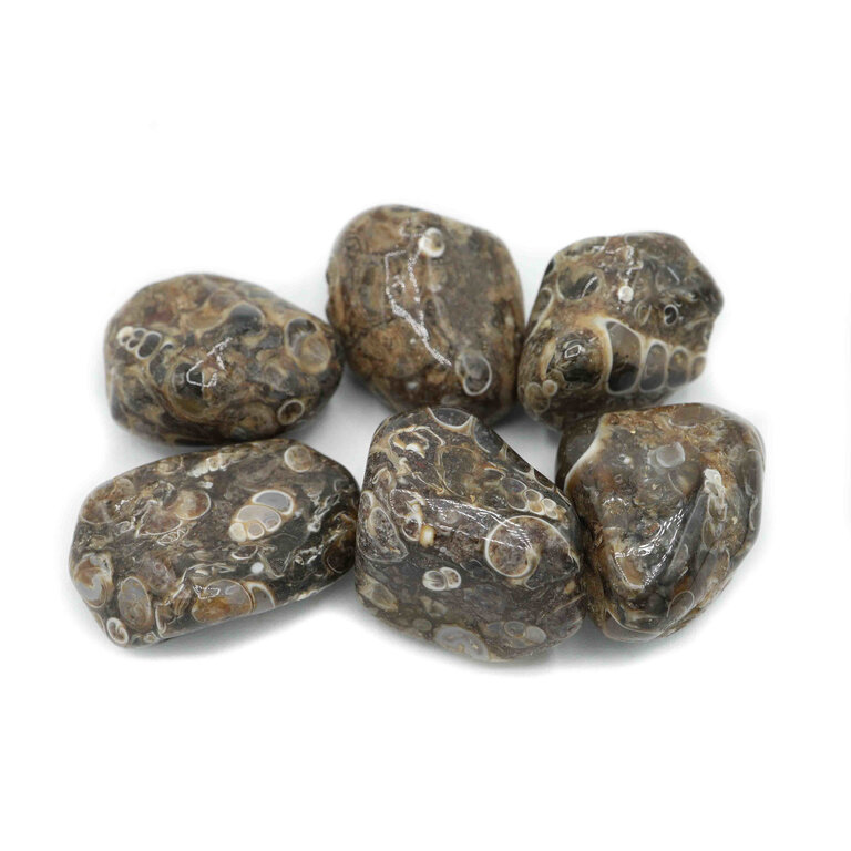 Agate Turitella